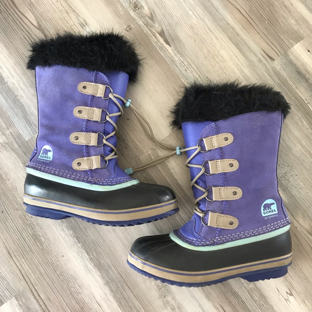 🥶Joan of Arctic Sorel’s